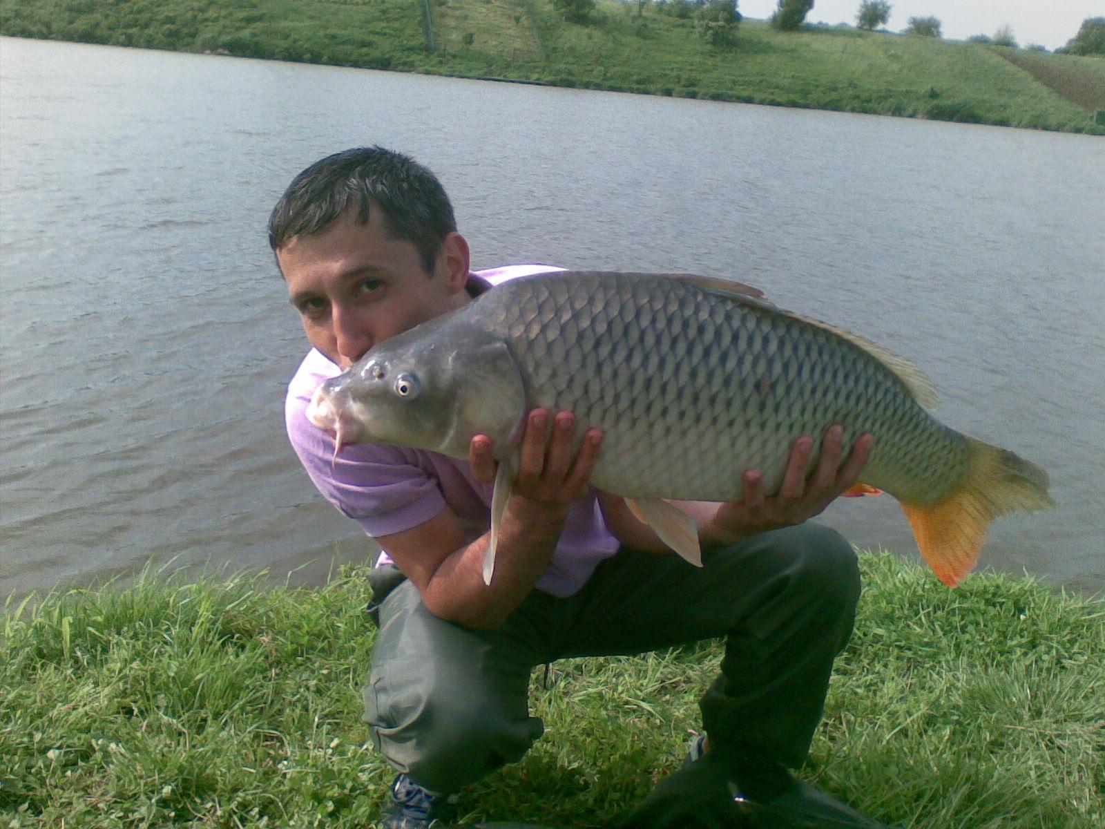 mv2 - 26052011012.jpg